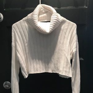 Crop top/turtleneck sweater
